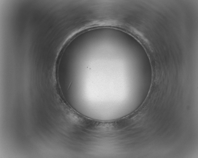 X0000071391174200607071900