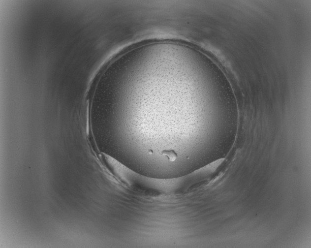 X0000071391175200607071900