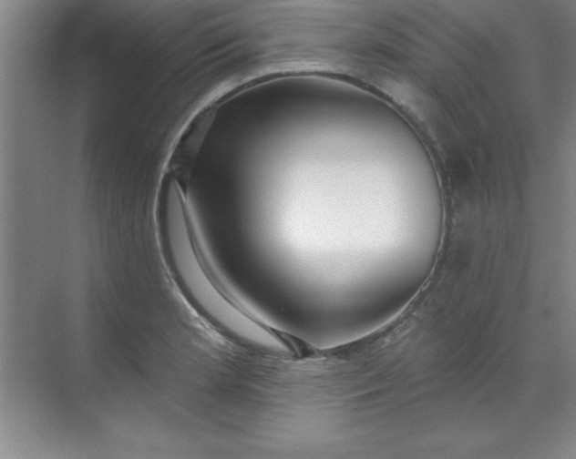 X0000071391181200607071900