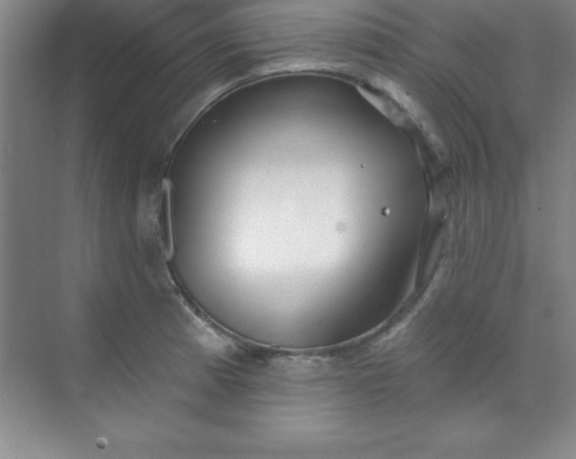 X0000071391185200607071900