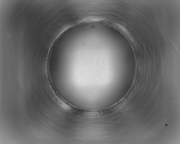 X0000071391186200607071900