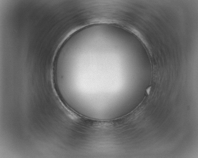 X0000071391187200607071900