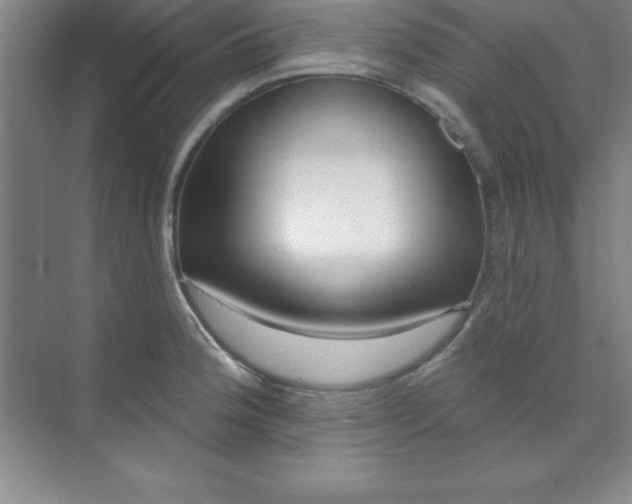 X0000071391188200607071900