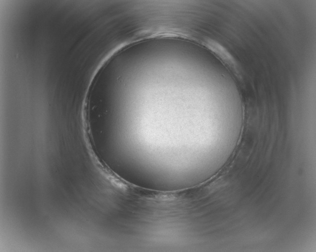 X0000071391190200607071900