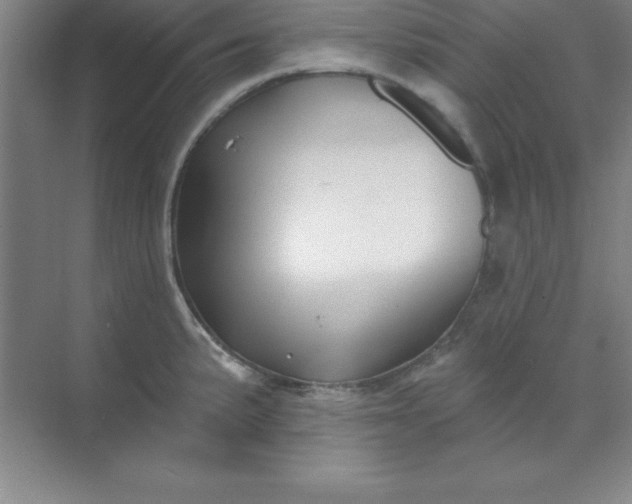 X0000071391191200607071900