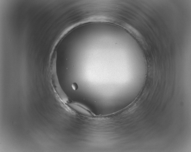 X0000071391192200607071900