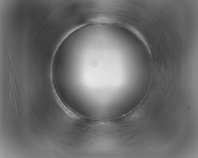 X0000071391195200607071900