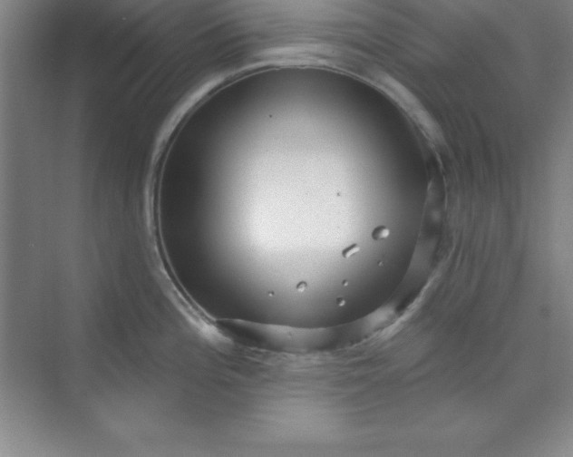 X0000071391196200607071900