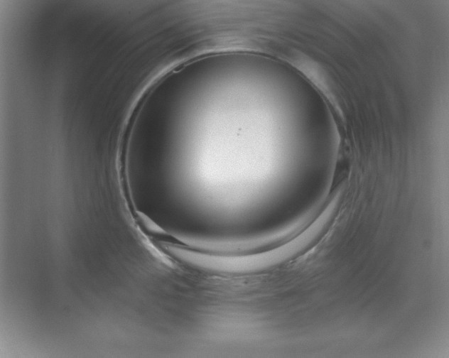 X0000071391197200607071900