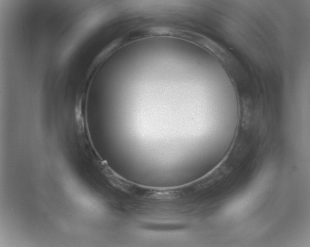 X0000071391198200607071900