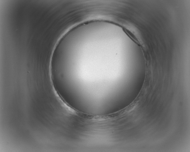 X0000071391199200607071900