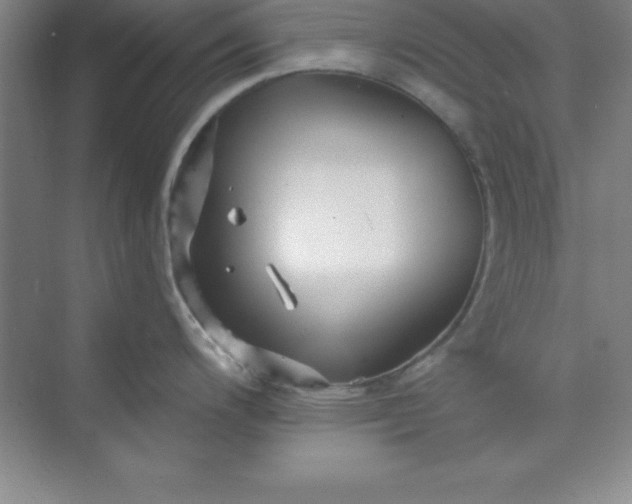 X0000071391200200607071900