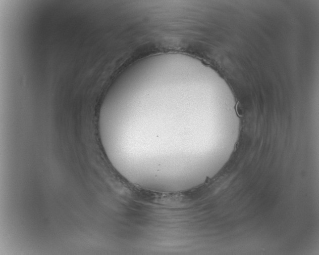 X0000071391201200607071859