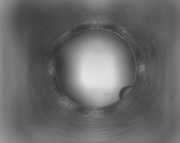 X0000071391204200607071859