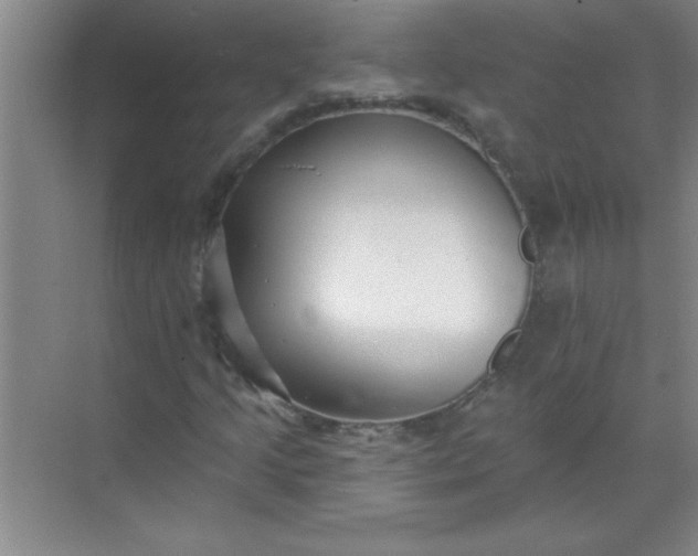 X0000071391205200607071859