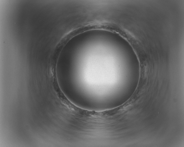 X0000071391206200607071859