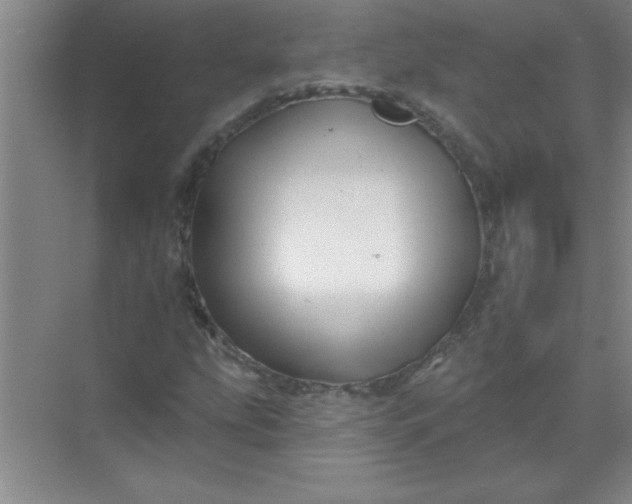 X0000071391207200607071859