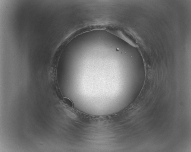 X0000071391208200607071859