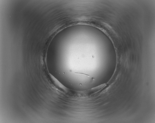 X0000071391209200607071859