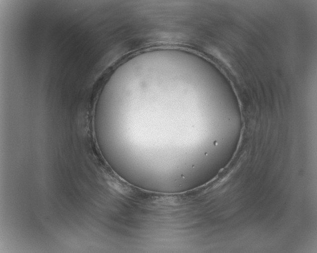 X0000071391211200607071859