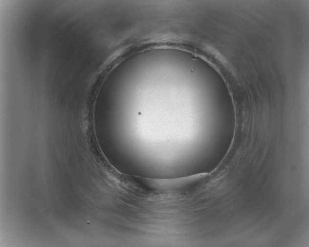 X0000071391213200607071859