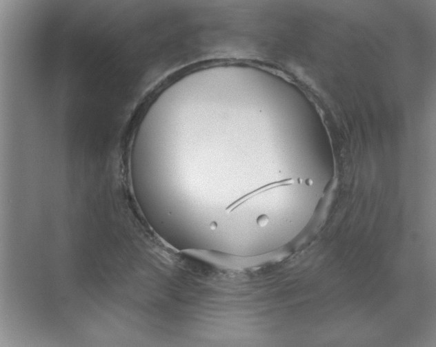 X0000071391215200607071859