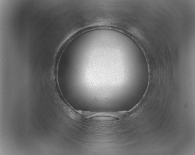 X0000071391216200607071859