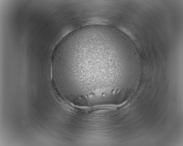 X0000071391219200607071859