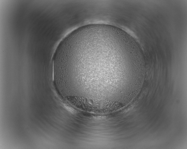 X0000071391223200607071859