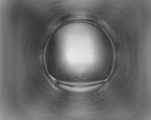 X0000071391225200607071859