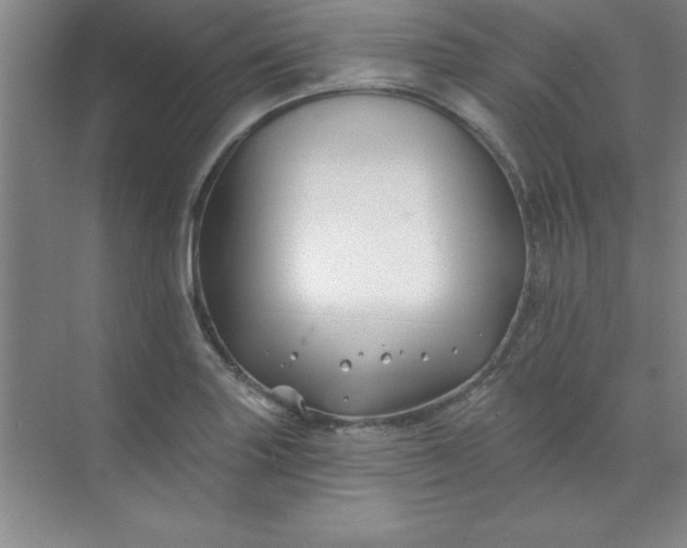 X0000071391227200607071859