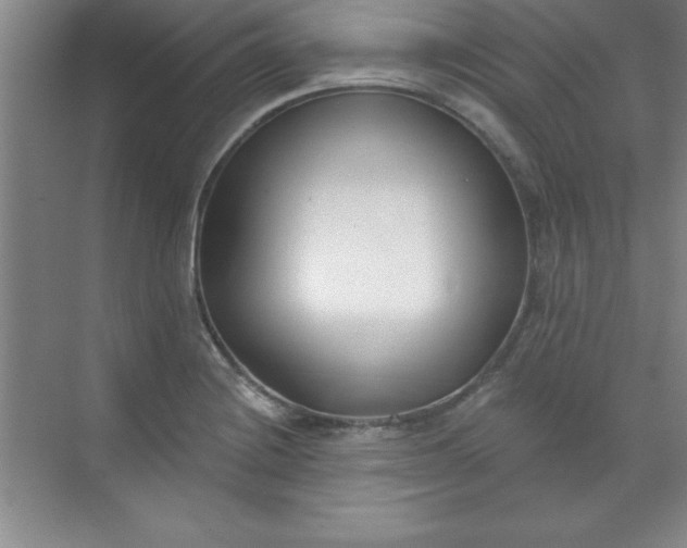 X0000071391228200607071859