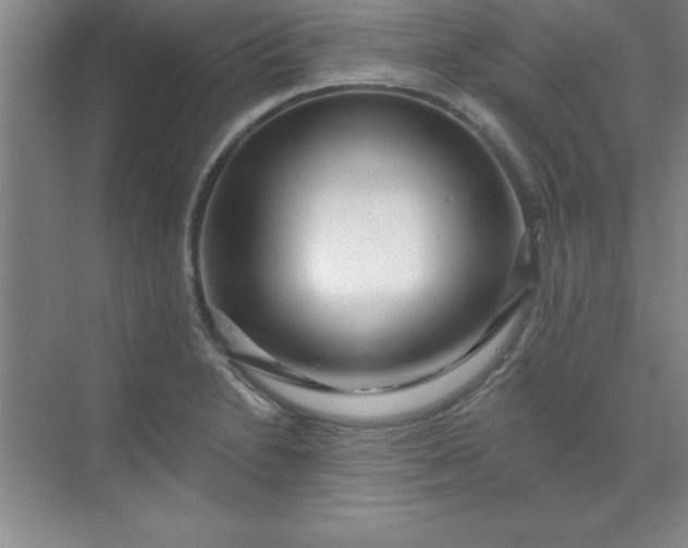 X0000071391230200607071859