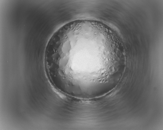 X0000071391231200607071859