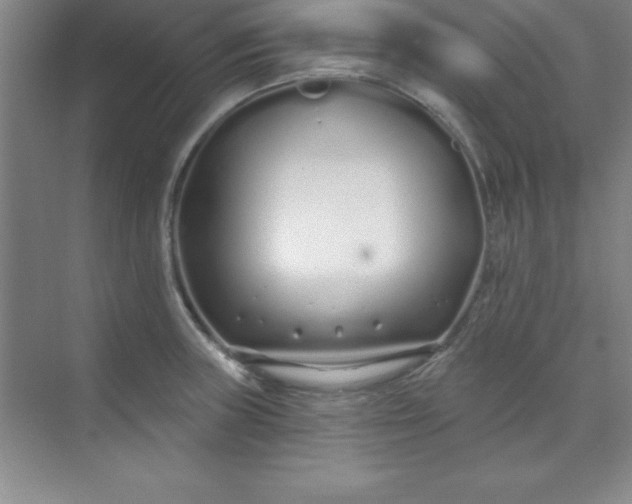 X0000071391235200607071900