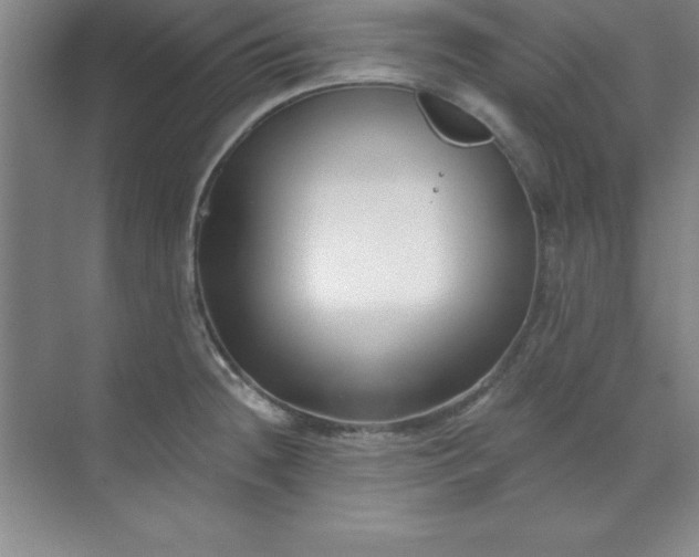 X0000071391236200607071900