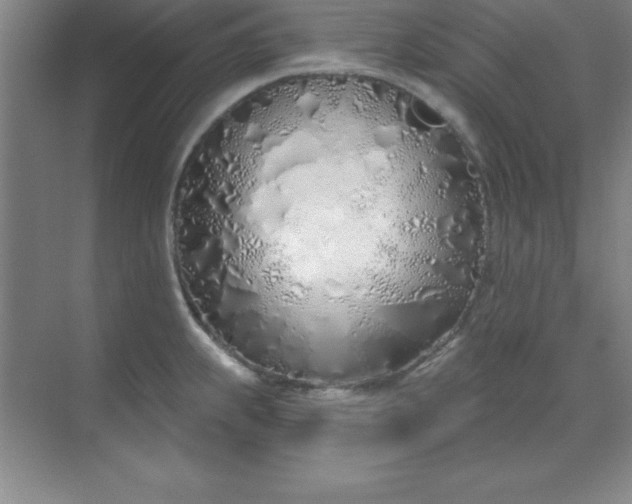 X0000071391239200607071900