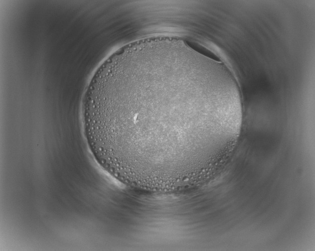 X0000071391243200607071900