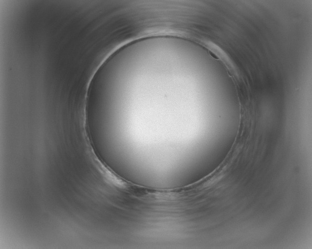 X0000071391244200607071900