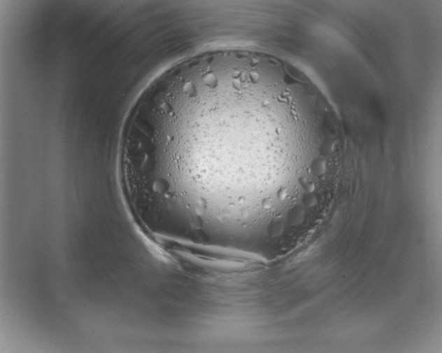 X0000071391245200607071900