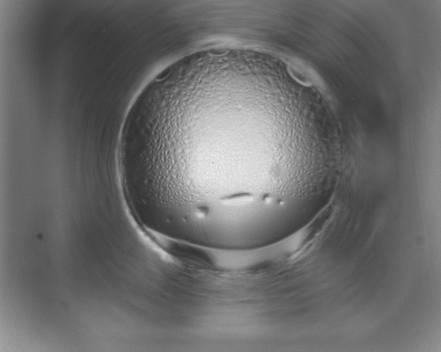 X0000071391247200607071900