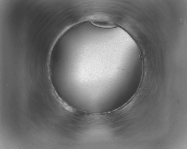 X0000071391248200607071900