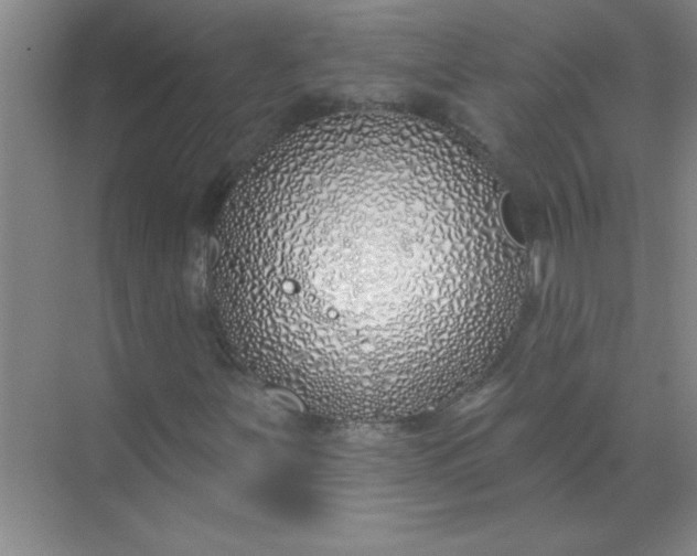 X0000071391251200607071859