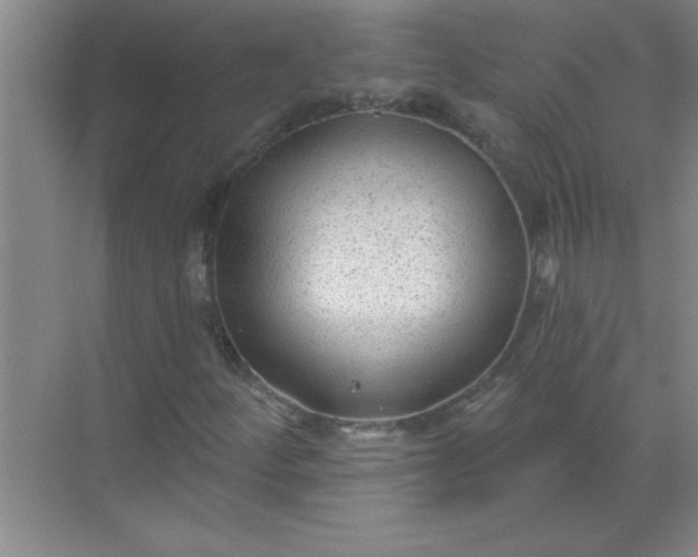 X0000071391252200607071859