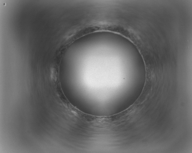 X0000071391253200607071859