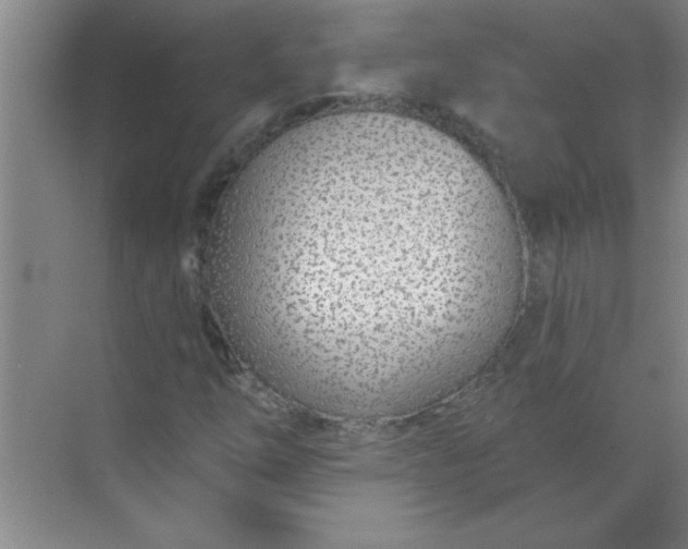 X0000071391254200607071859