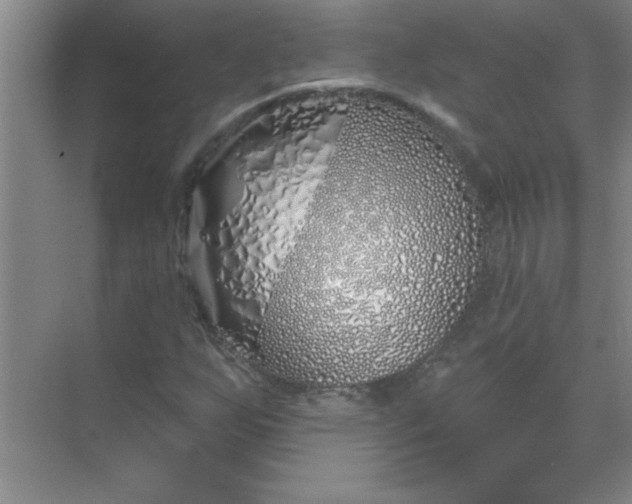 X0000071391255200607071859