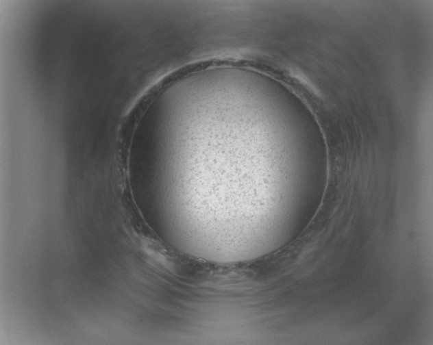 X0000071391256200607071859