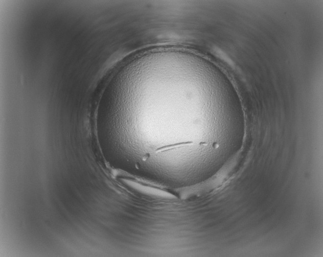 X0000071391259200607071859