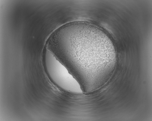 X0000071391260200607071859